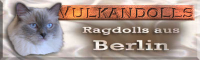 Vulkandolls Banner